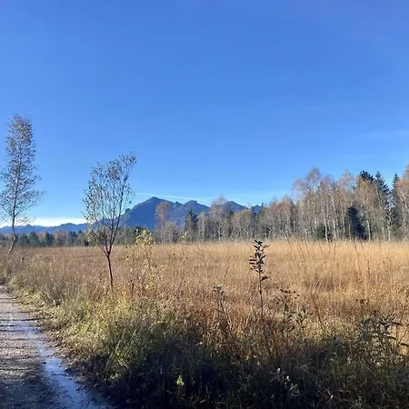 Hochgern *